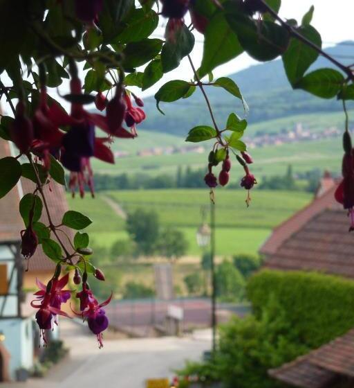 בית מלון כפרי Kieffer