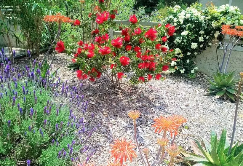 Hotelli Les Jardins De Bormes, Sauna & Jacuzzi
