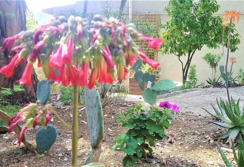 Отель Les Jardins De Bormes, Sauna & Jacuzzi