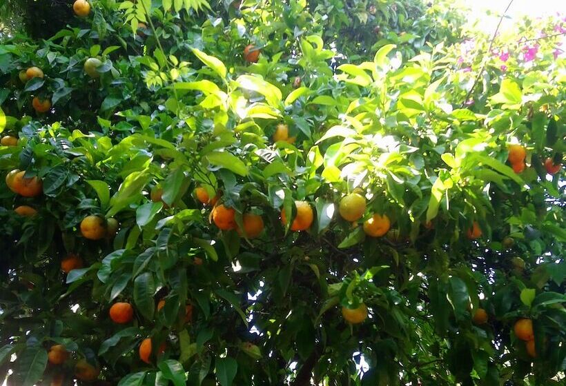 Отель Les Jardins De Bormes, Sauna & Jacuzzi