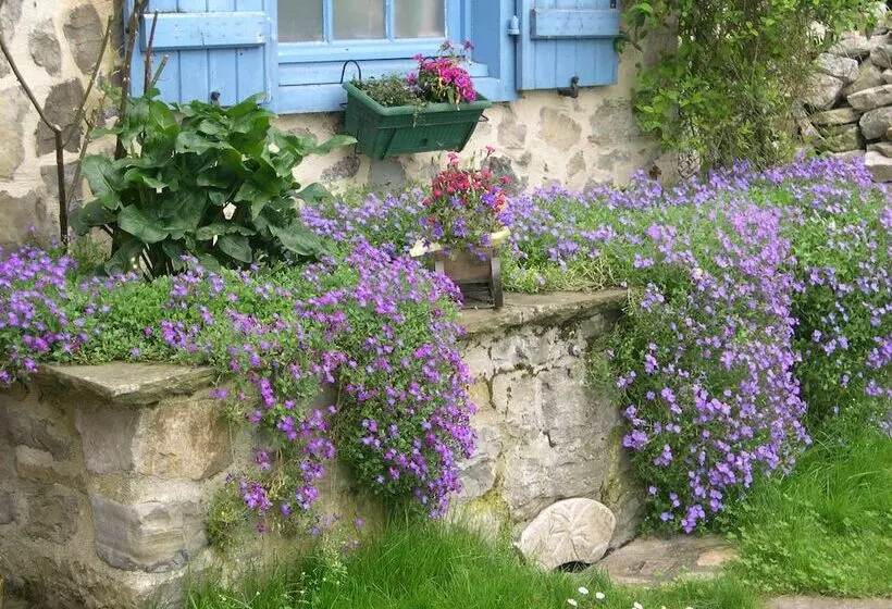 B&b Amphitryon