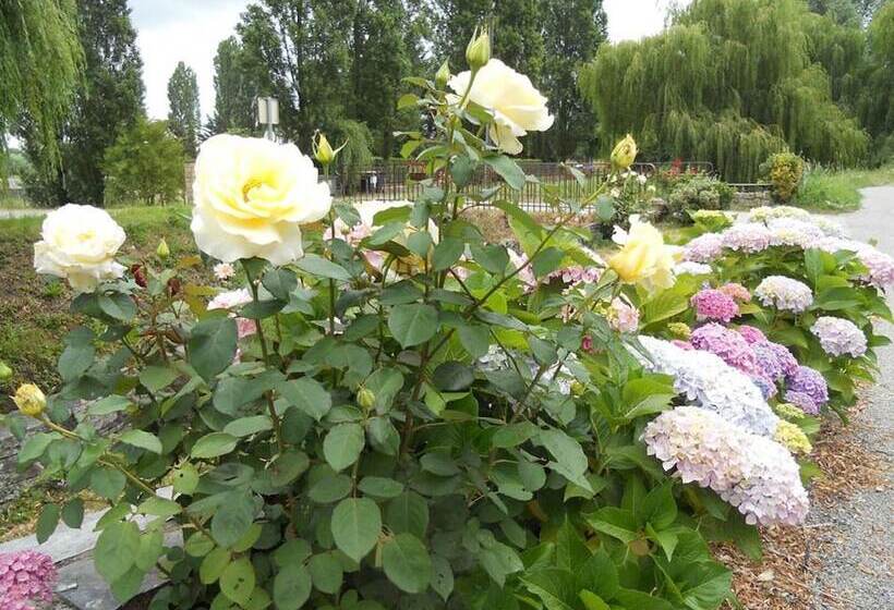 تختخواب و صبحانه Chambres D'hôtes La Bégaudière