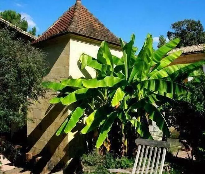 تختخواب و صبحانه Chateau Le Baudou