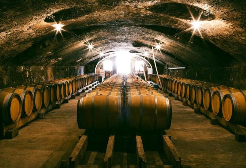 Château De Bellevue B&b