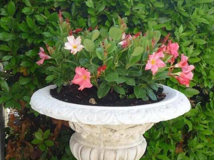 Отель Hôtel De Margaux