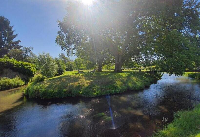 酒店 Hôtel Du Cygne
