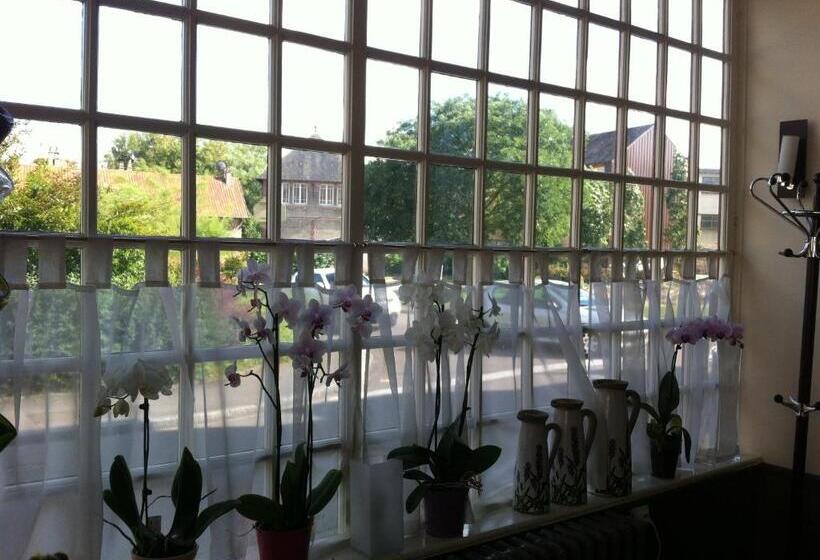 酒店 Hôtel Du Cygne