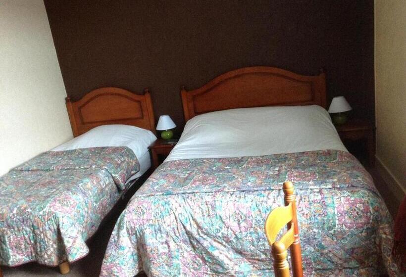 酒店 Hôtel Du Cygne