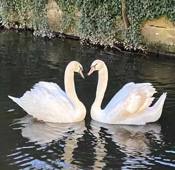 Hotel Hôtel Le Moulin