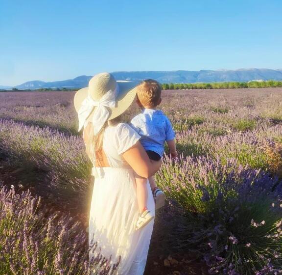 酒店 Hôtel Les Deux Lions