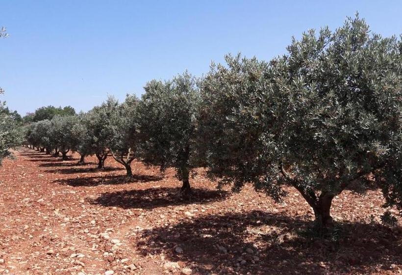 酒店 Hôtel Les Deux Lions