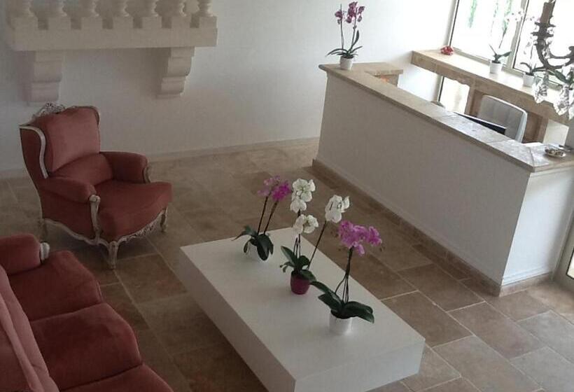 酒店 Hôtel Les Deux Lions