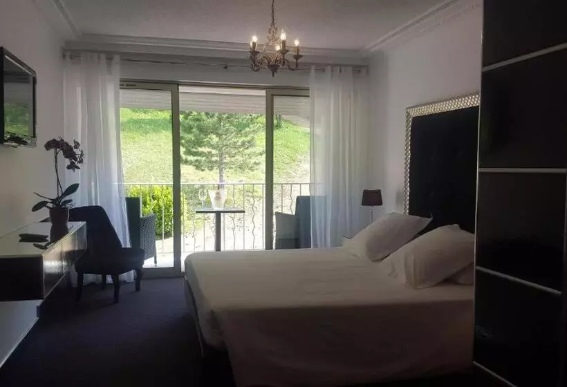 ホテル Hôtel Les Deux Lions