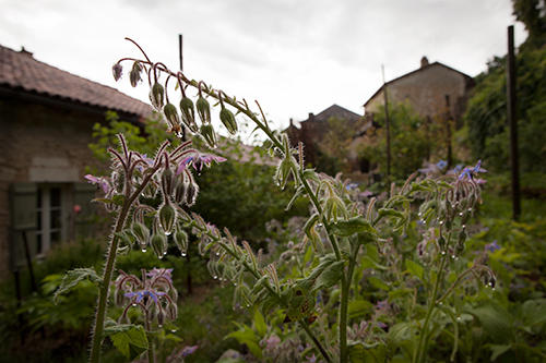 هتل Hôtel Restaurant Les Jardins De Brantôme