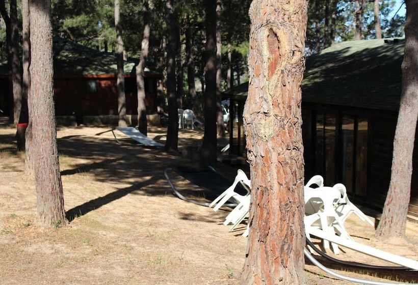 اقامتگاه Résidence Tramariccia