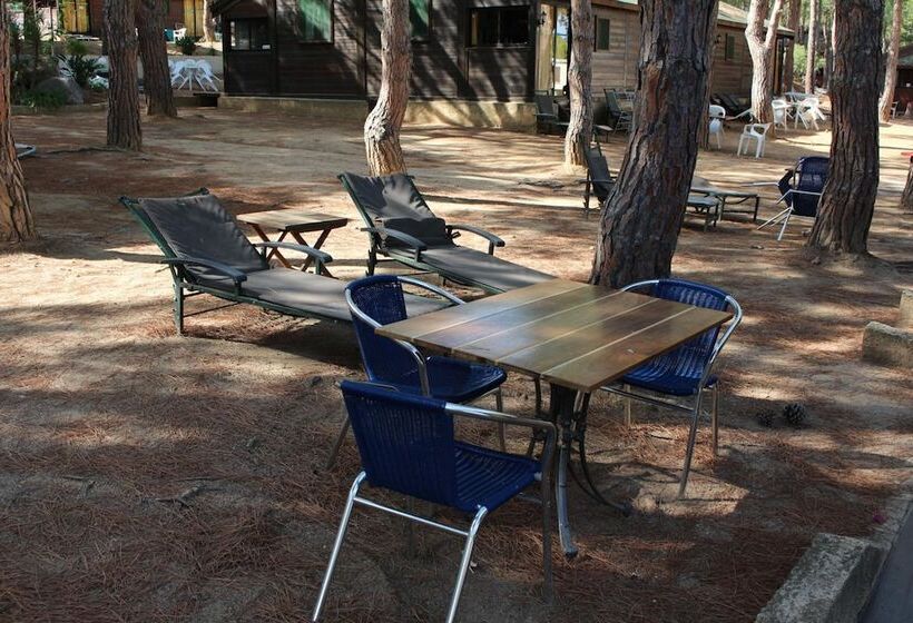 اقامتگاه Résidence Tramariccia