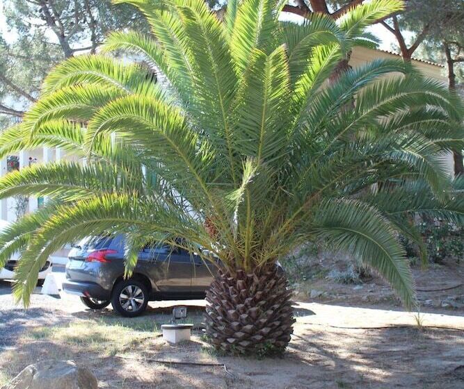 اقامتگاه Résidence Tramariccia