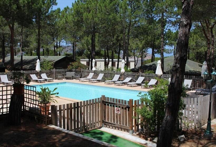 اقامتگاه Résidence Tramariccia