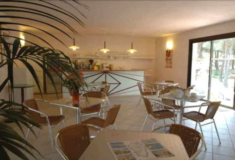 اقامتگاه Résidence Tramariccia