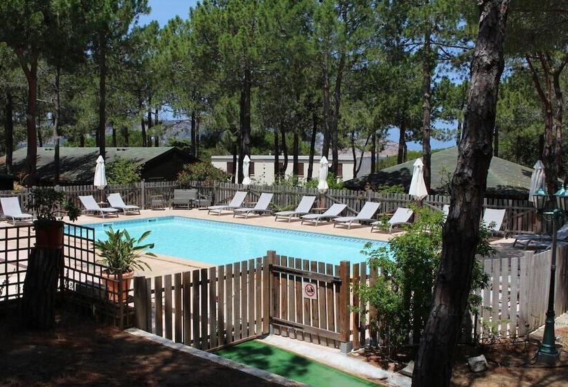 اقامتگاه Résidence Tramariccia