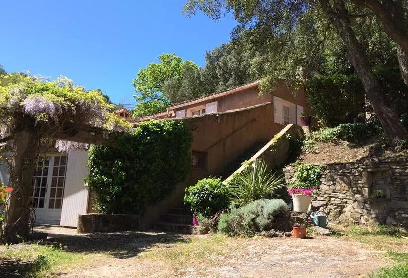 B&b Lei Bancaou