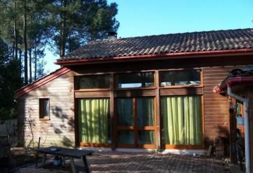 Bed and Breakfast Chambre D Hôtes Du Phenix