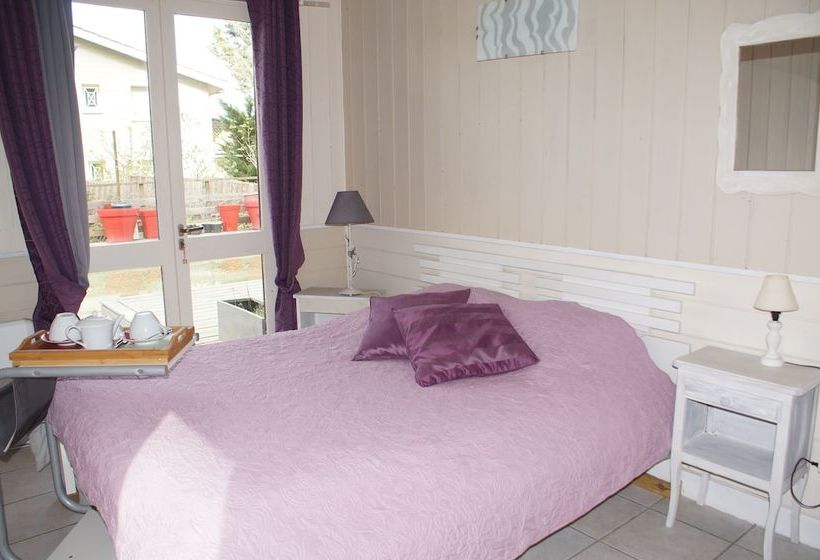 Bed and Breakfast Chambre D Hôtes Du Phenix