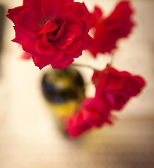 تختخواب و صبحانه Chambres D Hôtes Au Nid Des Thés