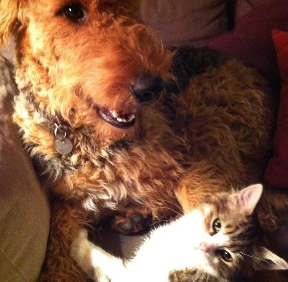 住宿加早餐 Ferme Du Grand Hotel Du Bois