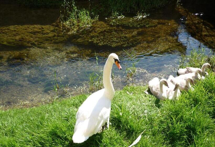 فندق Auberge Côté Rivière