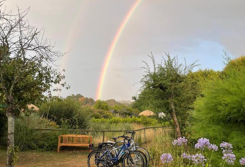 فندق Aux Tamaris