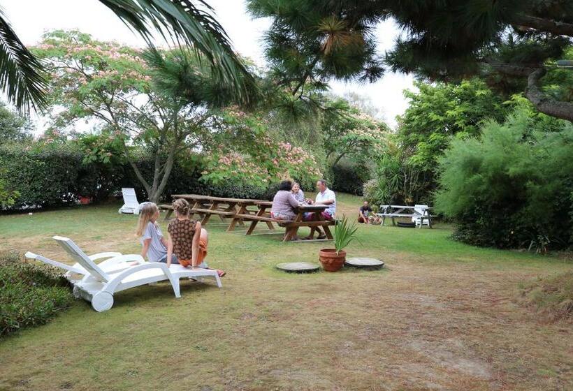 فندق Aux Tamaris