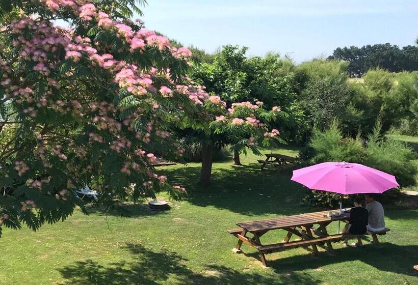 فندق Aux Tamaris