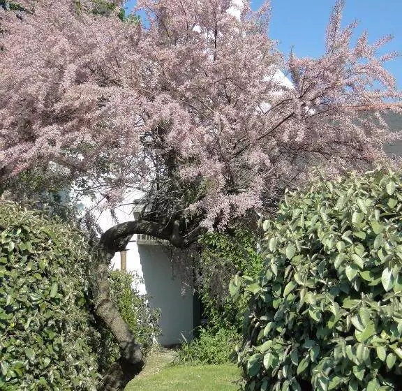 Hotelli Aux Tamaris