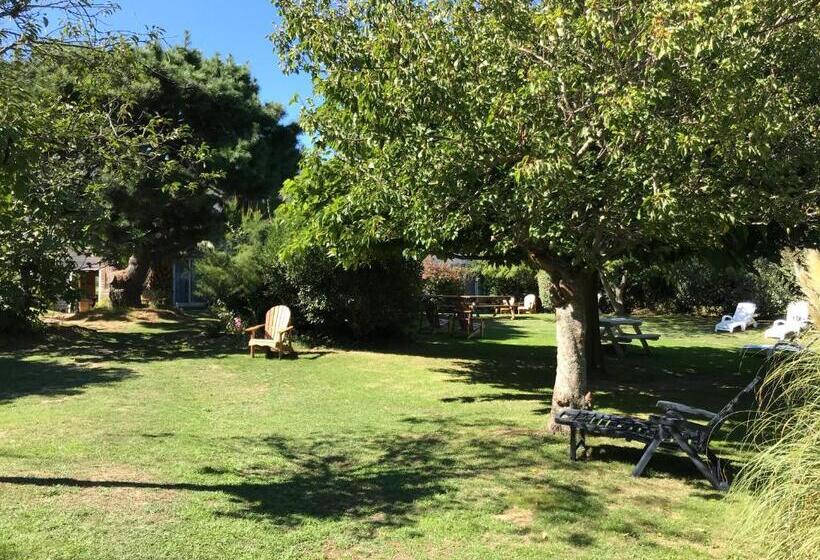 فندق Aux Tamaris