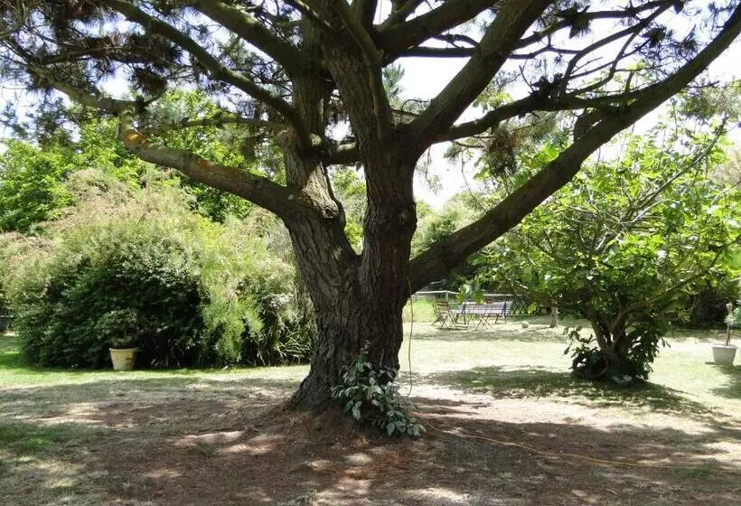 Hotelli Aux Tamaris
