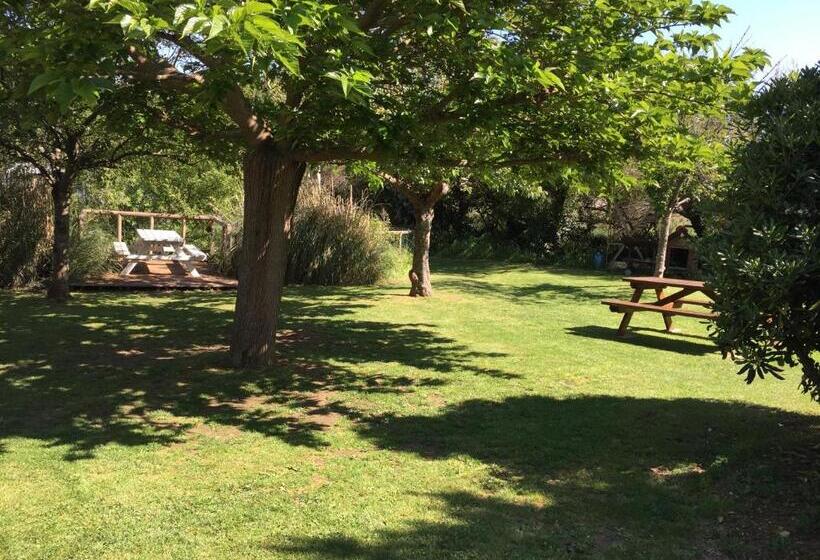 فندق Aux Tamaris