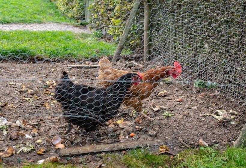 هتل Domaine Du Val