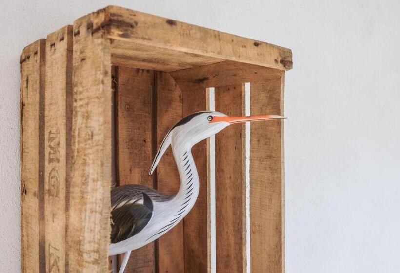 בית מלון כפרי Hôtel La Jetée