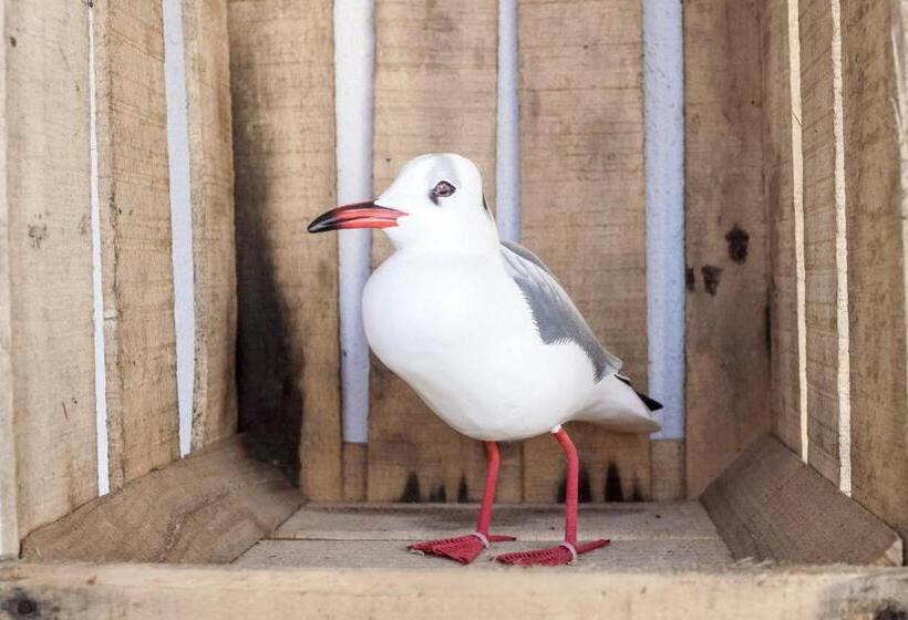 בית מלון כפרי Hôtel La Jetée