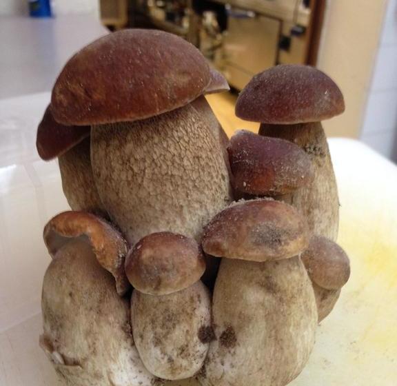 בית מלון כפרי Logis Hôtel Restaurant La Bastide