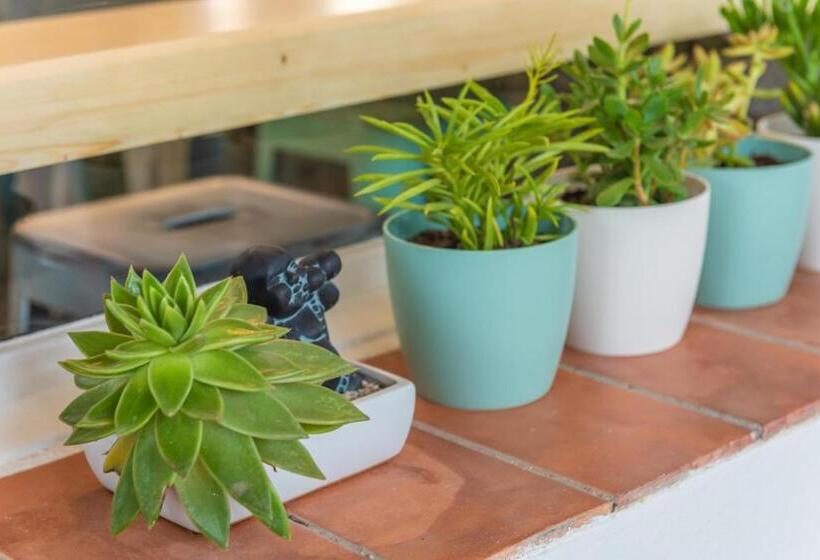 בית מלון כפרי L Oasis