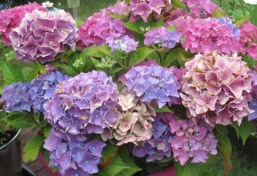 בית מלון כפרי Le Parisien