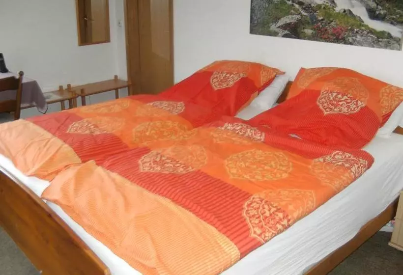 Alter Olper Hof Hotel Garni