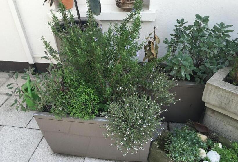 住宿加早餐  Mangolds Boutique Hotel & Fruehstuecksmeisterei