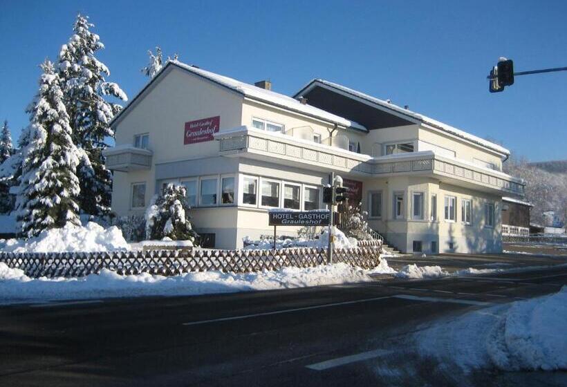 Отель Grauleshof