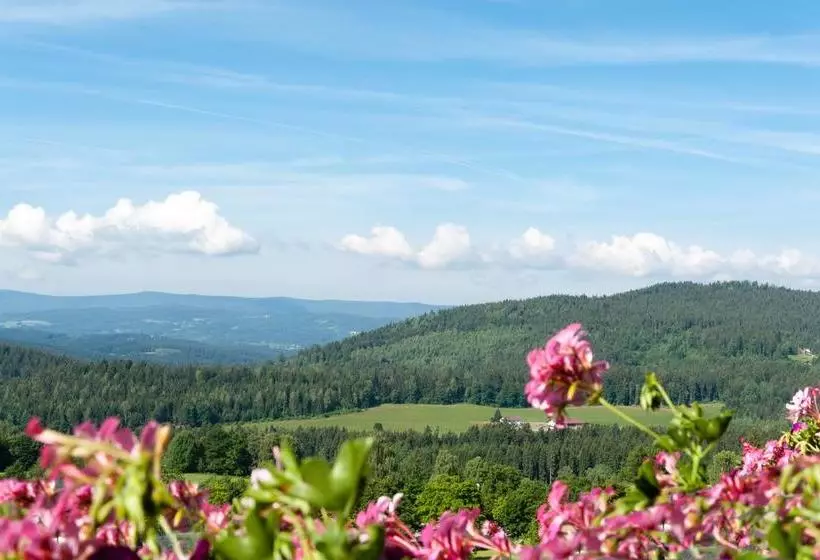 ホテル Koenigshof