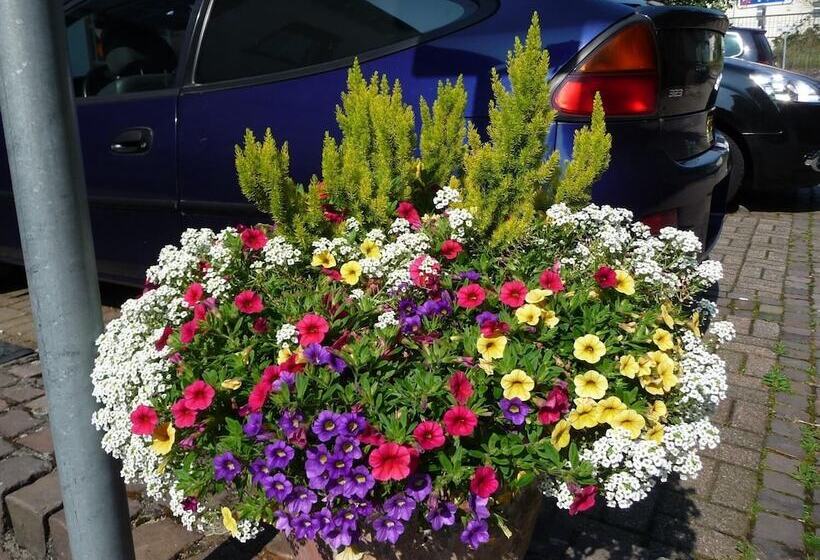 בית מלון כפרי Kurfürst Garni