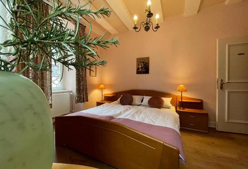 בית מלון כפרי Schloss Zell