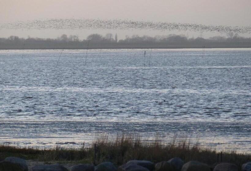 בית מלון כפרי Strand